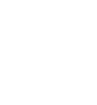 image of a outlined ring box